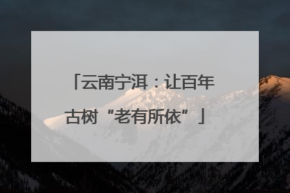 云南宁洱：让百年古树“老有所依”