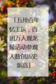 五卅百年忆工运，百团万人观龙陵活动参观人数创历史新高