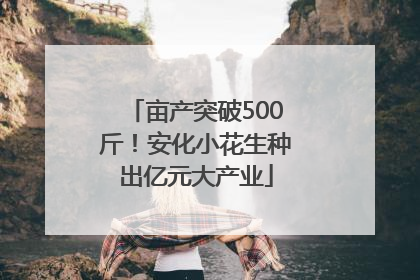 亩产突破500斤！安化小花生种出亿元大产业