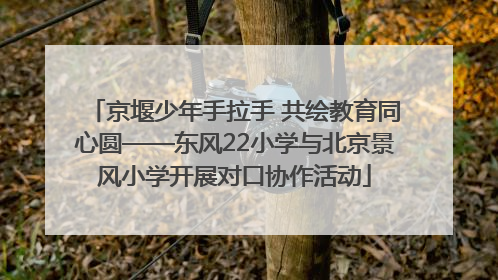 京堰少年手拉手 共绘教育同心圆——东风22小学与北京景风小学开展对口协作活动