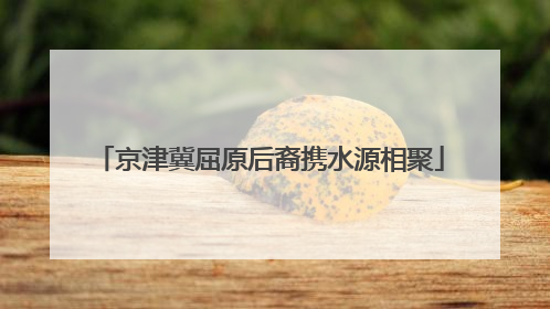 京津冀屈原后裔携水源相聚