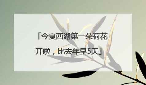 今夏西湖第一朵荷花开啦，比去年早5天