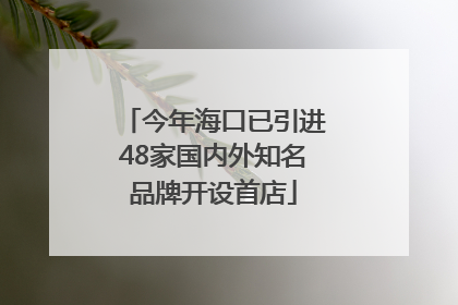 今年海口已引进48家国内外知名品牌开设首店