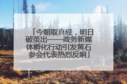 今朝取真经，明日破茧出——政务新媒体孵化行动引发黄石参会代表热烈反响