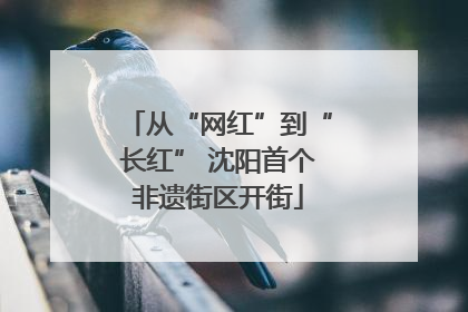 从“网红”到“长红” 沈阳首个非遗街区开街