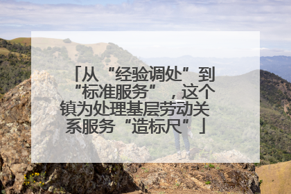 从“经验调处”到“标准服务”，这个镇为处理基层劳动关系服务“造标尺”