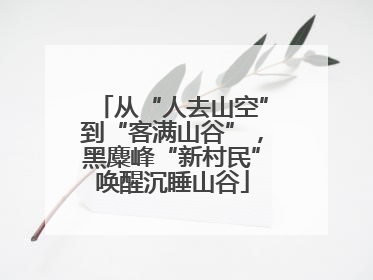 从“人去山空”到“客满山谷”，黑麋峰“新村民”唤醒沉睡山谷