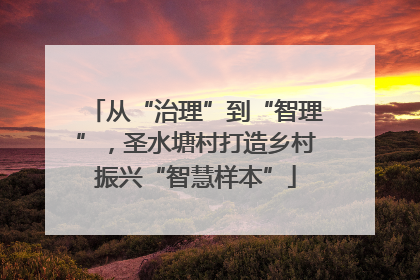 从“治理”到“智理”，圣水塘村打造乡村振兴“智慧样本”