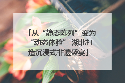 从“静态陈列”变为“动态体验” 湖北打造沉浸式非遗盛宴