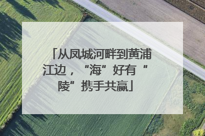 从凤城河畔到黄浦江边，“海”好有“陵”携手共赢