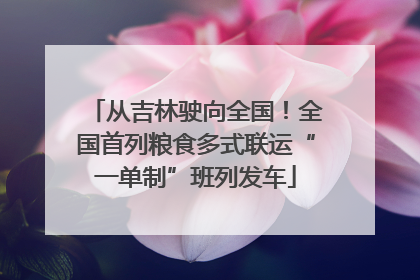 从吉林驶向全国！全国首列粮食多式联运“一单制”班列发车