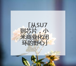 从SU7到芯片，小米商业化闭环的野心