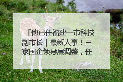 他已任福建一市科技副市长｜最新人事！三家国企领导层调整，任免多位政法系统干部