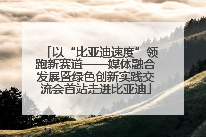 以“比亚迪速度”领跑新赛道——媒体融合发展暨绿色创新实践交流会首站走进比亚迪
