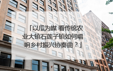 以瓜为媒 看传统农业大镇石莲子镇如何唱响乡村振兴协奏曲？