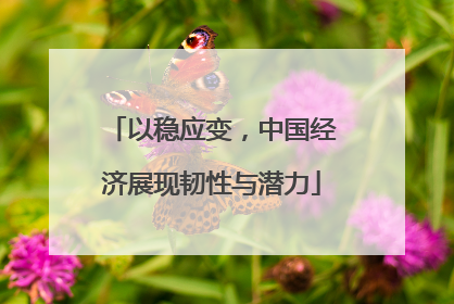 以稳应变，中国经济展现韧性与潜力