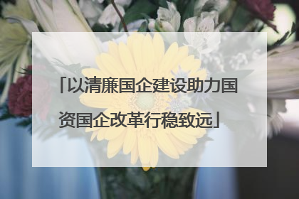以清廉国企建设助力国资国企改革行稳致远