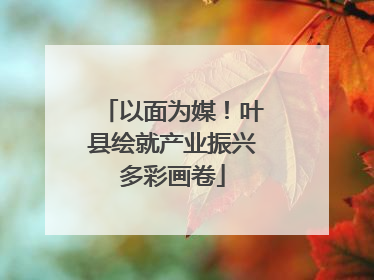 以面为媒！叶县绘就产业振兴多彩画卷