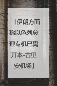 伊朗方面称以色列总理专机已离开本-古里安机场