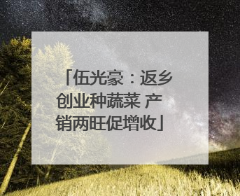 伍光豪：返乡创业种蔬菜 产销两旺促增收