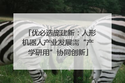 优必选庞建新：人形机器人产业发展需“产学研用”协同创新