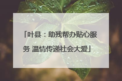 叶县：助残帮办贴心服务 温情传递社会大爱