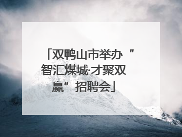 双鸭山市举办“智汇煤城·才聚双赢”招聘会