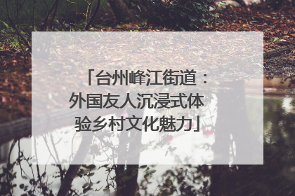 台州峰江街道：外国友人沉浸式体验乡村文化魅力