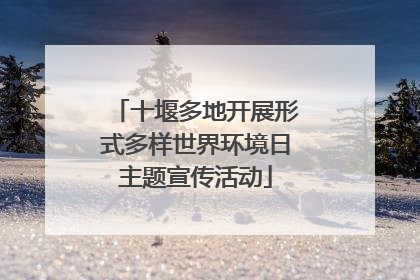 十堰多地开展形式多样世界环境日主题宣传活动