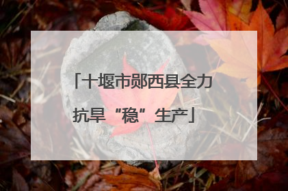十堰市郧西县全力抗旱“稳”生产