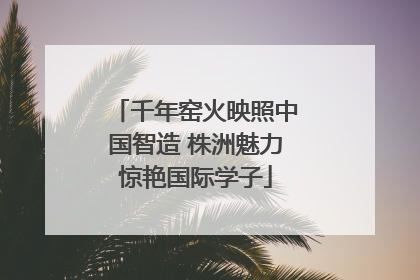 千年窑火映照中国智造 株洲魅力惊艳国际学子