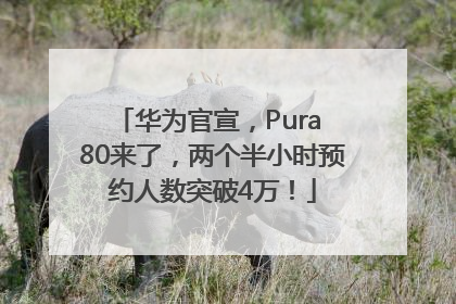 华为官宣，Pura 80来了，两个半小时预约人数突破4万！