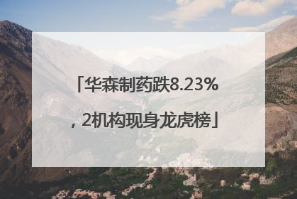 华森制药跌8.23%，2机构现身龙虎榜