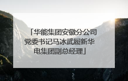 华能集团安徽分公司党委书记马冰武履新华电集团副总经理