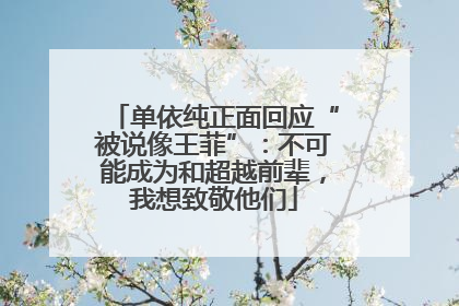 单依纯正面回应“被说像王菲”：不可能成为和超越前辈，我想致敬他们