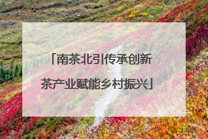 南茶北引传承创新 茶产业赋能乡村振兴