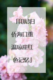 印尼归侨海口重温琼崖红色记忆