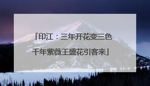 印江：三年开花变三色 千年紫薇王盛花引客来