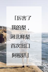 厉害了我的梨，河北鲜梨首次出口阿根廷