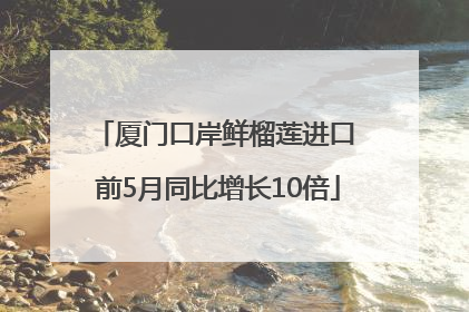 厦门口岸鲜榴莲进口 前5月同比增长10倍