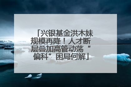 兴银基金洪木妹规模再降！人才断层叠加高管动荡“偏科”困局何解