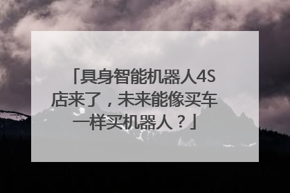 具身智能机器人4S店来了，未来能像买车一样买机器人？