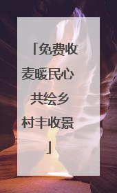 免费收麦暖民心 共绘乡村丰收景