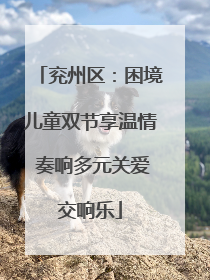 兖州区：困境儿童双节享温情 奏响多元关爱交响乐