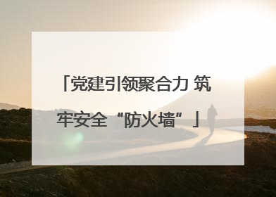 党建引领聚合力 筑牢安全“防火墙”