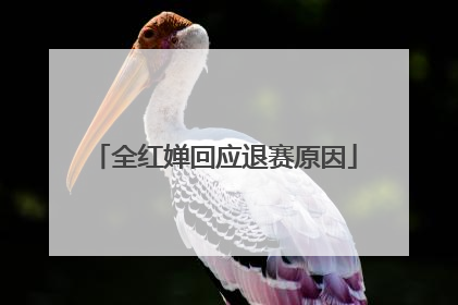 全红婵回应退赛原因