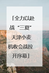 全力以赴战“三夏” 天津小麦机收会战拉开序幕