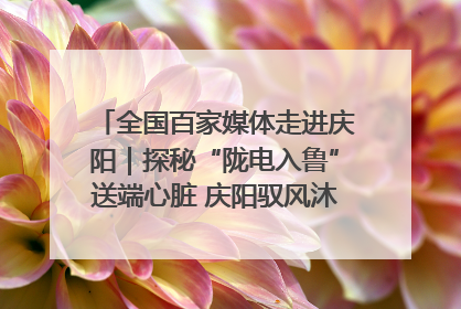 全国百家媒体走进庆阳｜探秘“陇电入鲁”送端心脏 庆阳驭风沐光点亮齐鲁万家