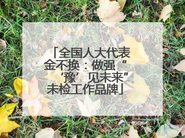 全国人大代表金不换：做强“‘豫’见未来”未检工作品牌