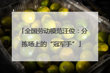 全国劳动模范汪俊：分拣场上的“冠军手”